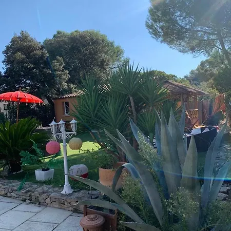 D'hotes Des Huppes 3* Nîmes