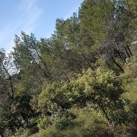 D'hotes Des Huppes Nîmes